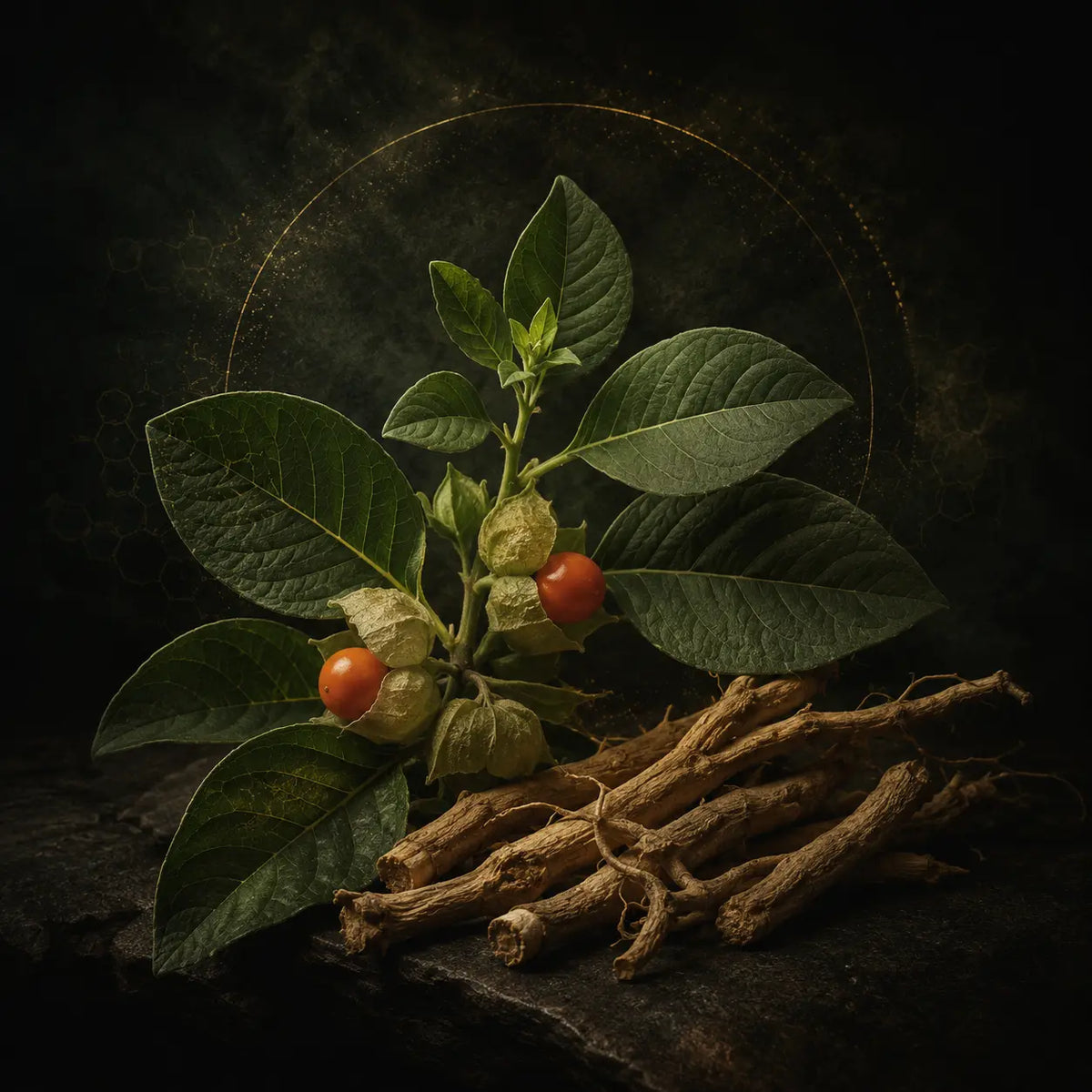 Ashwagandha – Nyugalom a mindennapi káoszban